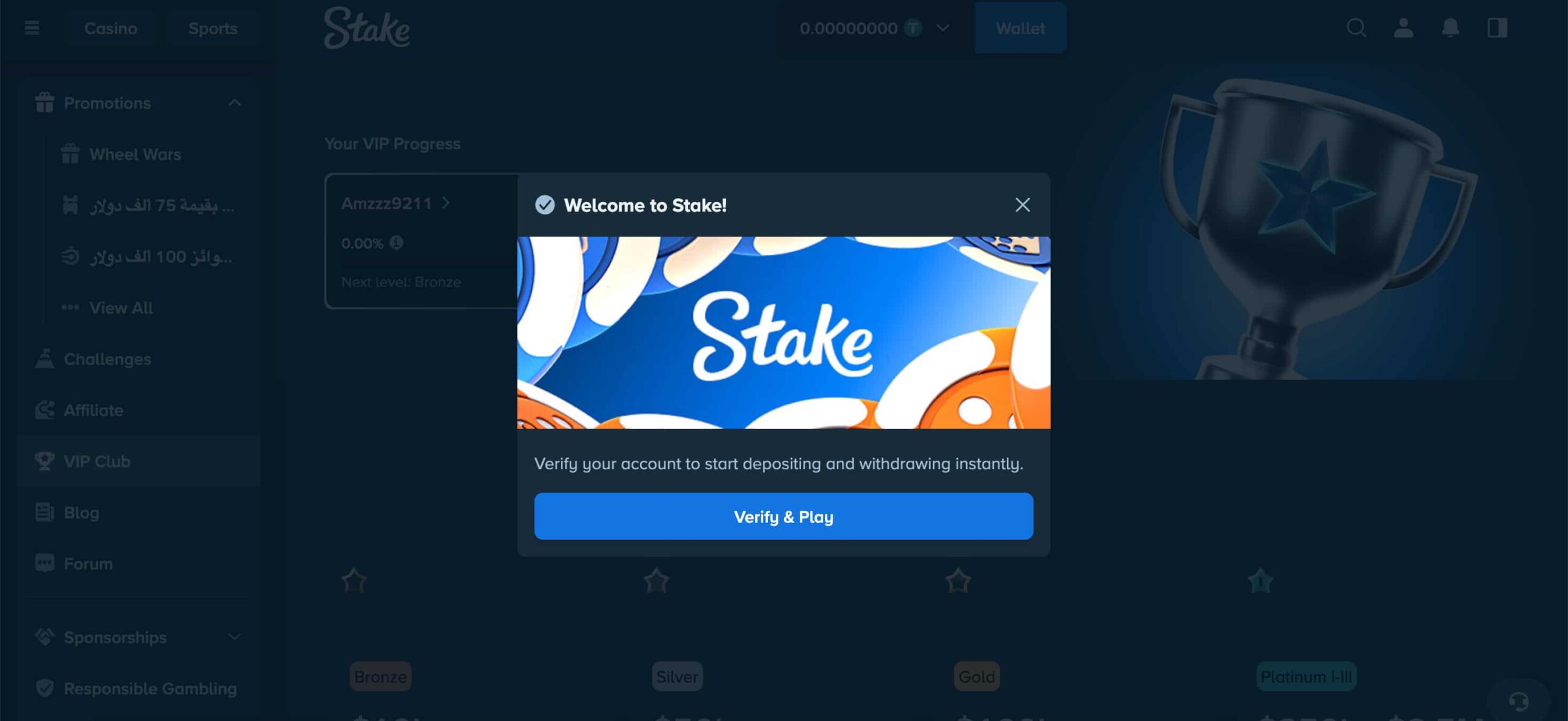 Stake casino registration complete verification required EN