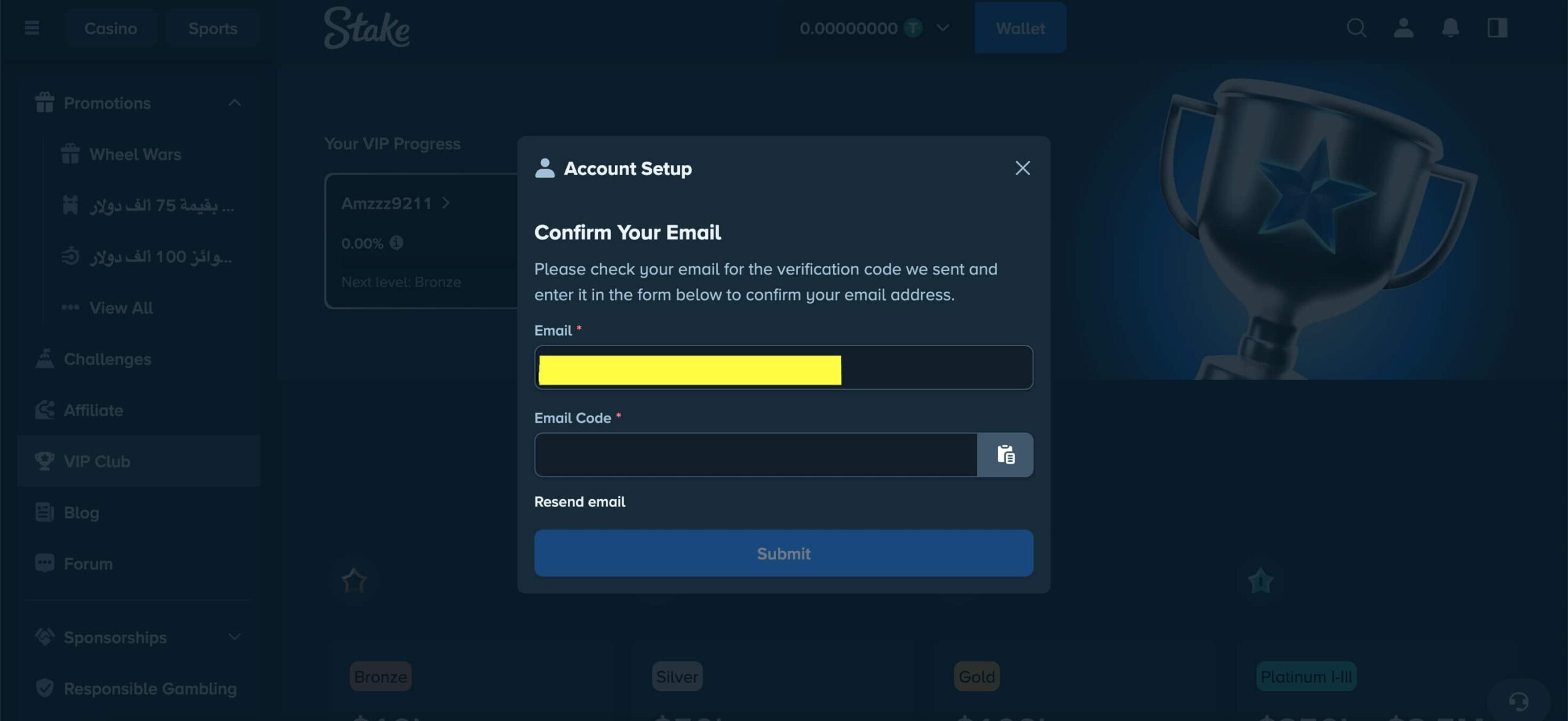stake casino registration complete verification for email is done EN
